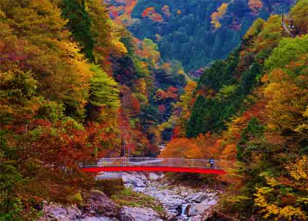 奈良の紅葉80選 / みたらい渓谷