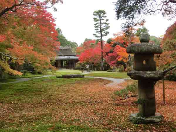 奈良の紅葉 / 吉城園