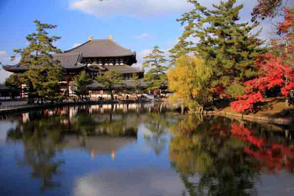 奈良の紅葉80選 / 奈良公園-鏡池