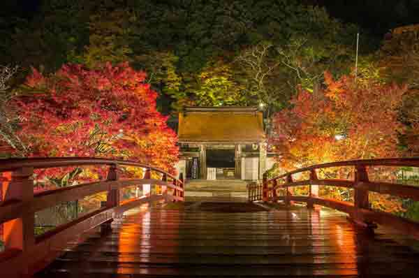 奈良の紅葉80選 / 室生寺