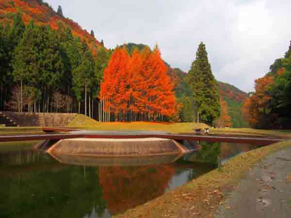 奈良の紅葉80選 / 室生山上公園芸術の森