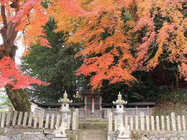 奈良の紅葉80選 / 愛宕神社