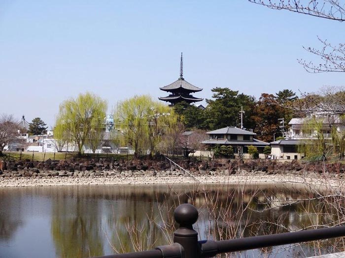 奈良県の隠れ風景・眺望スポット / 荒池