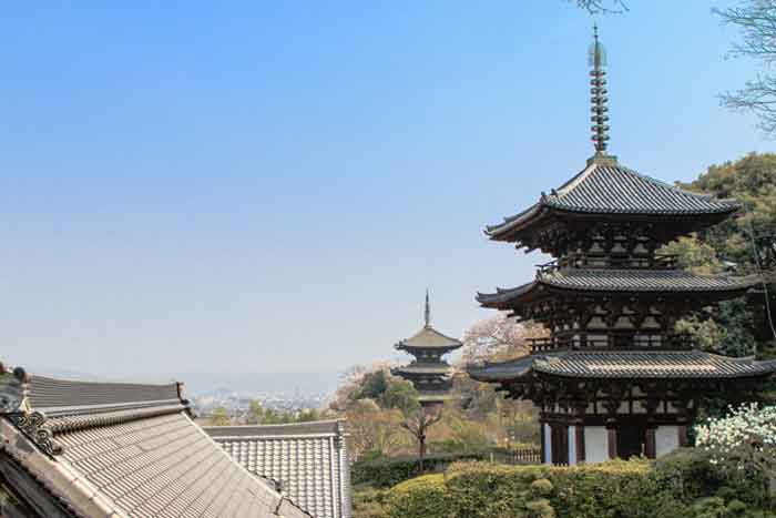 国宝建築物は64件71棟で全国最多 / 実は凄い。奈良の素晴らしい所だけをひたすら紹介