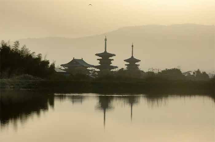 古都奈良の文化財 / 都道府県別で見る世界遺産の保有数ランキングと全遺産まとめ