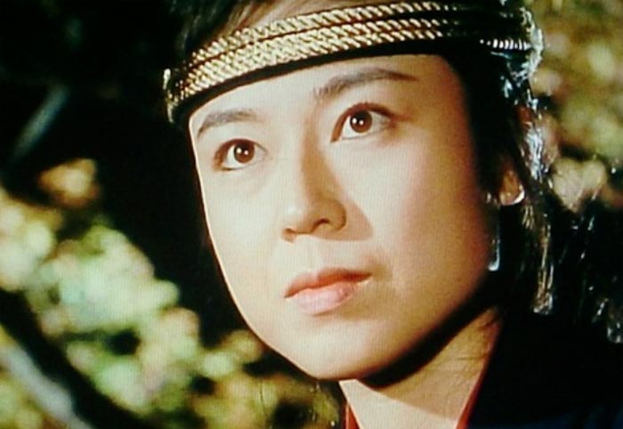 全22名 暴れん坊将軍の歴代の御庭番と出演者をまとめてみた 初代 Xii スペシャル 幽封館 ゆんぷる Blog