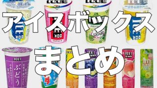 歴代のアイスボックスまとめ